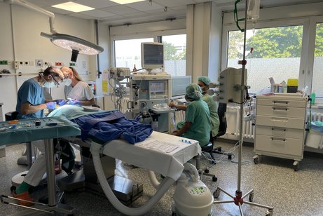Das Foto zeigt einen Operationssaal, in dem gerade jemand unter Vollnarkose eine Zahnbehandlung bekommt. Anwesend sind der behandelnde Arzt Dr. Schilke und sein Team.