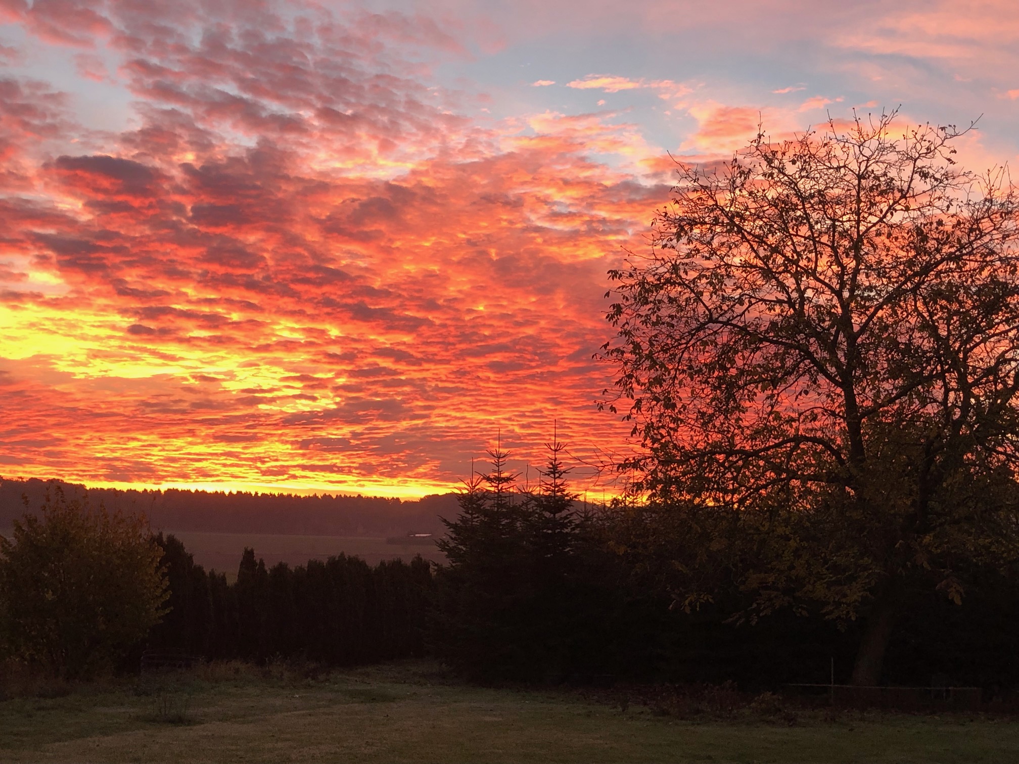 Sonnenuntergang auf einem Feld.
