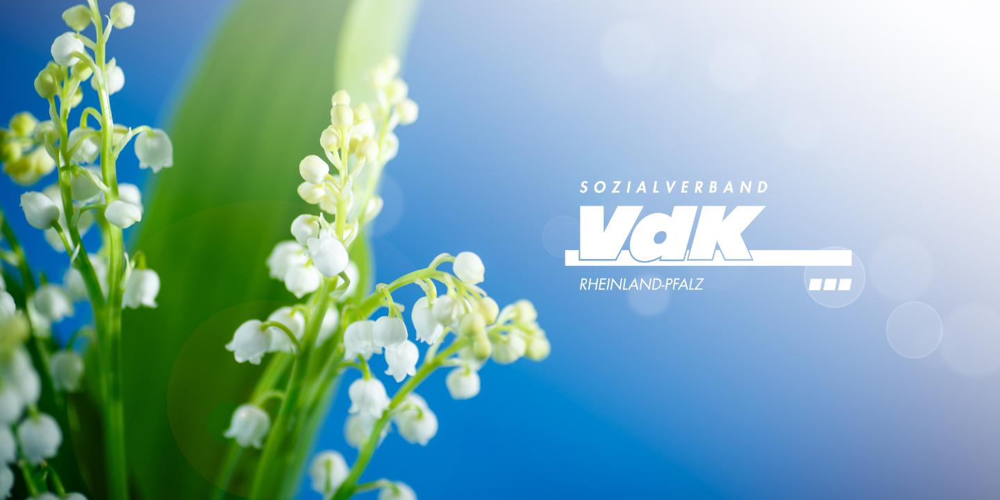 Wei&szlig;e Blumen vor dem Himmel.