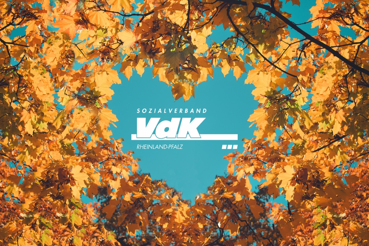 Wei&szlig;es Vdk-Logo umrahmt von Herbstlaub in Herzform.