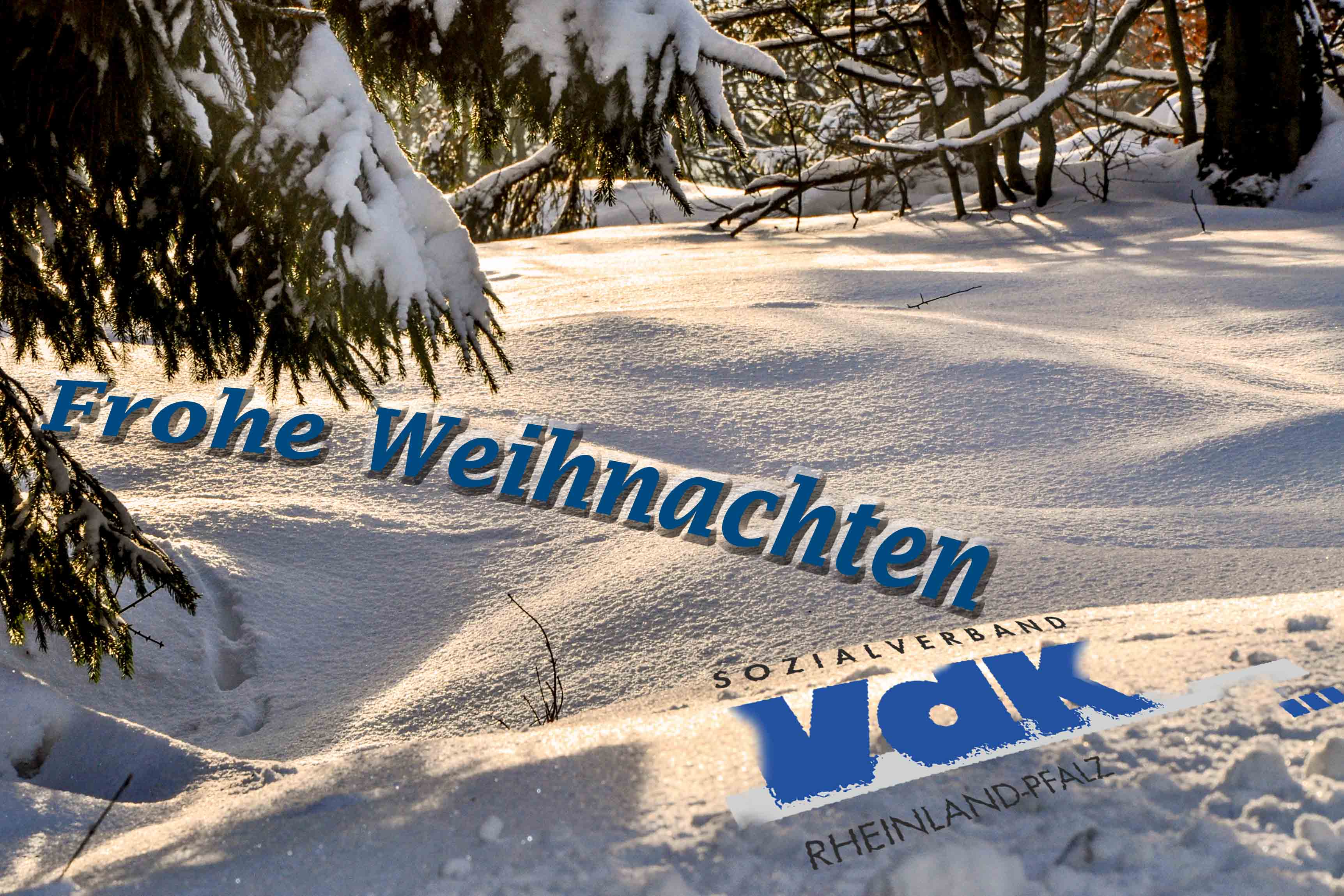 Frohe Weihnachten Weiße Winterlandschaft mit blauem Schriftzug: "Frohe Weihnachten VdK"