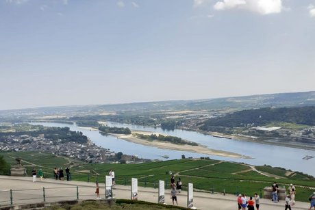 Blick auf den leeren Rhein