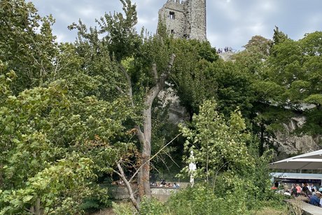 Von der Aussichtsplattform hat man einen sch&ouml;nen Blick auf die Drachenfelsburg.