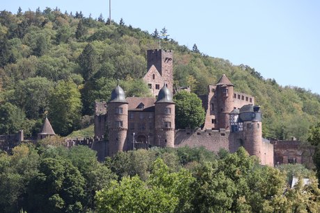 Blick auf die Burg von Wertheim Blick auf die Burg von Wertheim