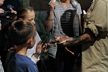 Tiere hautnah im Reptilium Landau