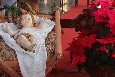 Weihnachten - Krippe in Springiersbach&copy;SonjaM&uuml;ller