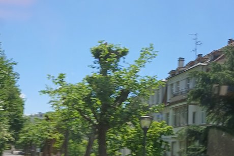 Die Storchengasse. Die Storchengasse.