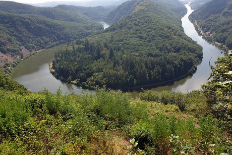 Saarschleife Saarfahrt