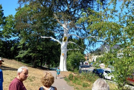 Park-Spaziergang