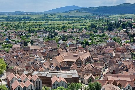 Obernai Obernai von oben.