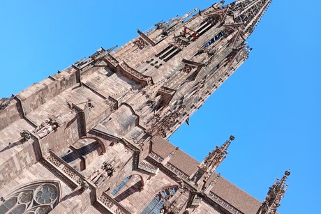 Freiburger Münster.