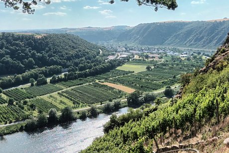 Moseltal