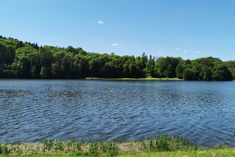 Landschaftsfoto See Beispielfoto für Mehrtagesfahrt ins Sauerland Biggensee