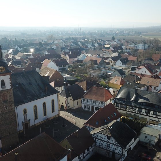 Dirmstein
