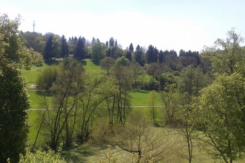 Sommer im Palmbachtal