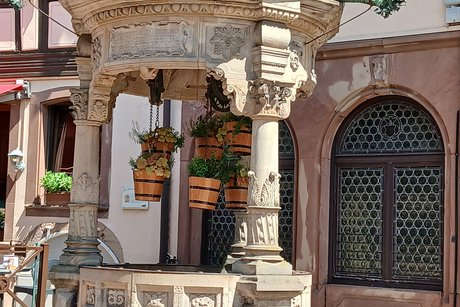 Obernai Der Sechs - Eimer - Brunnen. Die Eimer sind mit Blumen bepflanzt.