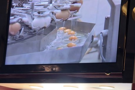 Maschinelles &Ouml;ffnen der Eier zur Nudelherstellung