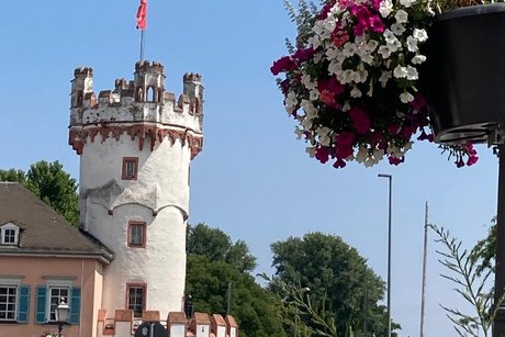 Adlerturm in R&uuml;desheim