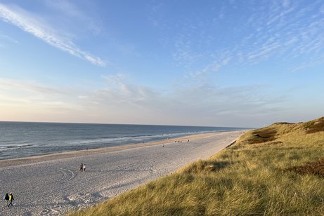 Sylt