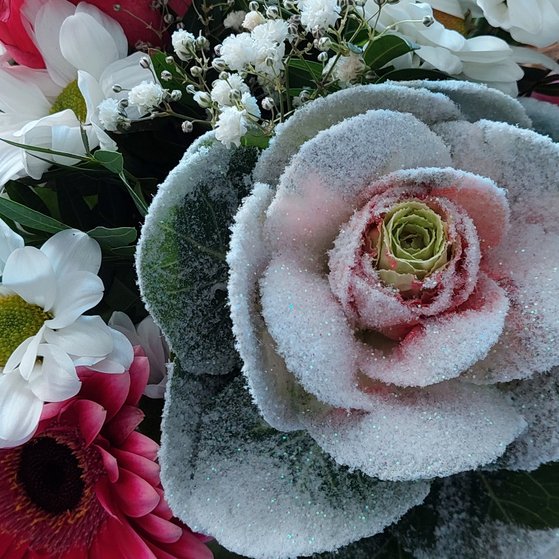 Rose als gebundener Strau&szlig;