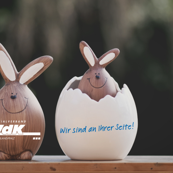 Zwei Dekohasen