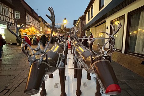 Rentiere in Michelstadt