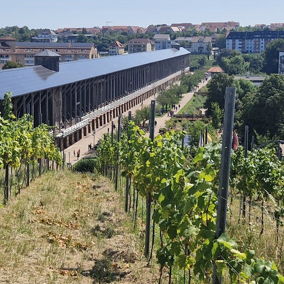 Saline Bad Dürkheim