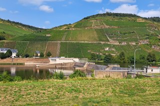 Weinberge vom Schiff aus gesehen