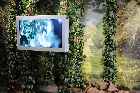 Hopfenpflanzen in der Ausstellung Hopfendekoration und TV