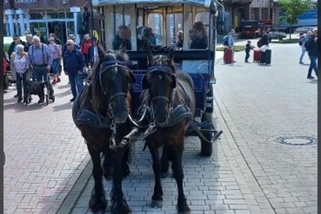 Kutschfahrt Langeoog Kutschfahrt Langeoog