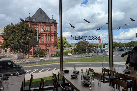 Kurfürstliches Schloß in Mainz