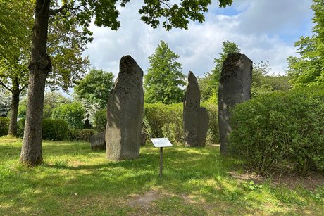 Steinzirkel im Geogartern