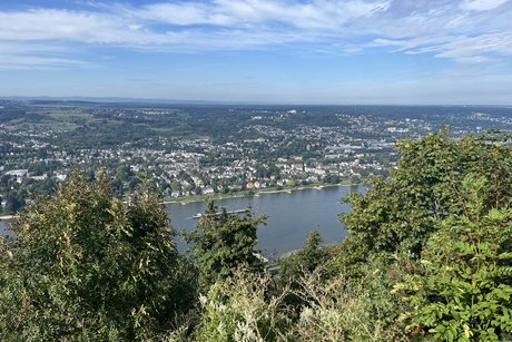 Rhein