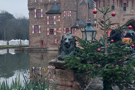 mittelalterische Wasserburg