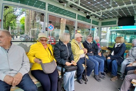 Panoramablick in dem Stadtrundfahrtbähnchen!