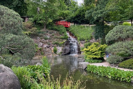 Wasserfall im Japanischen Garten