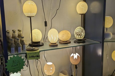 Straußenfarm Tagesfahrt Adler