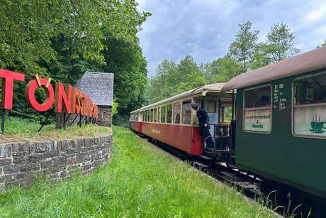 Ankunft in Schweppenburg