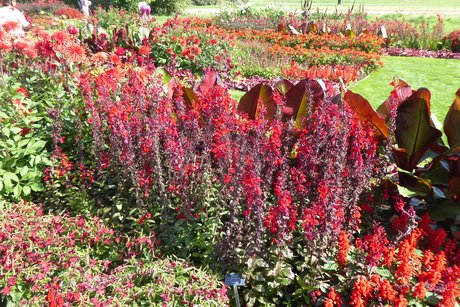 Landesgartenschau Neuss Landesgartenschau Neuss