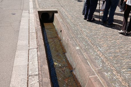 Die Büchlein von Freiburg.