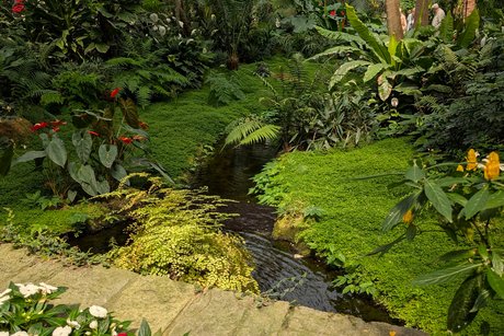 Natur pur