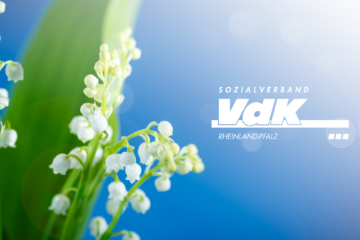 Wei&szlig;e Blumen vor dem Himmel.