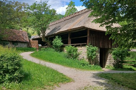 Museumshaus Museumshaus