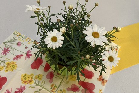Blumen