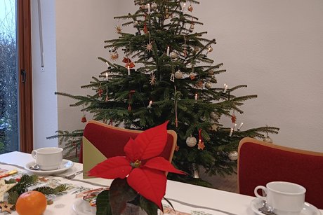 Weihnachtsbaum