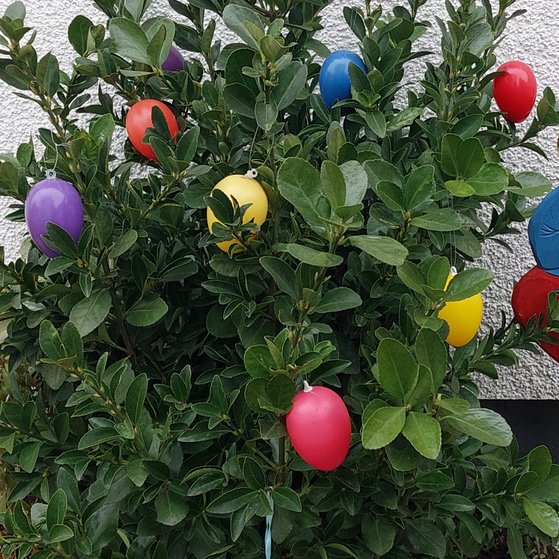 VdK Ortsverband Altenkirchen