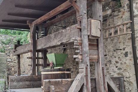 Alte Weinpresse in der Burgruine Hinterhaus