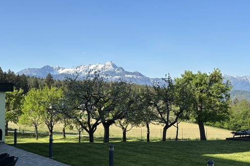 Sommer Sommer