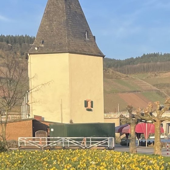 Fr&uuml;hling an der Mosel