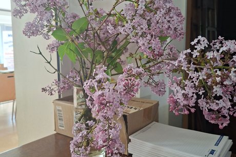 Blumenstrau&szlig;